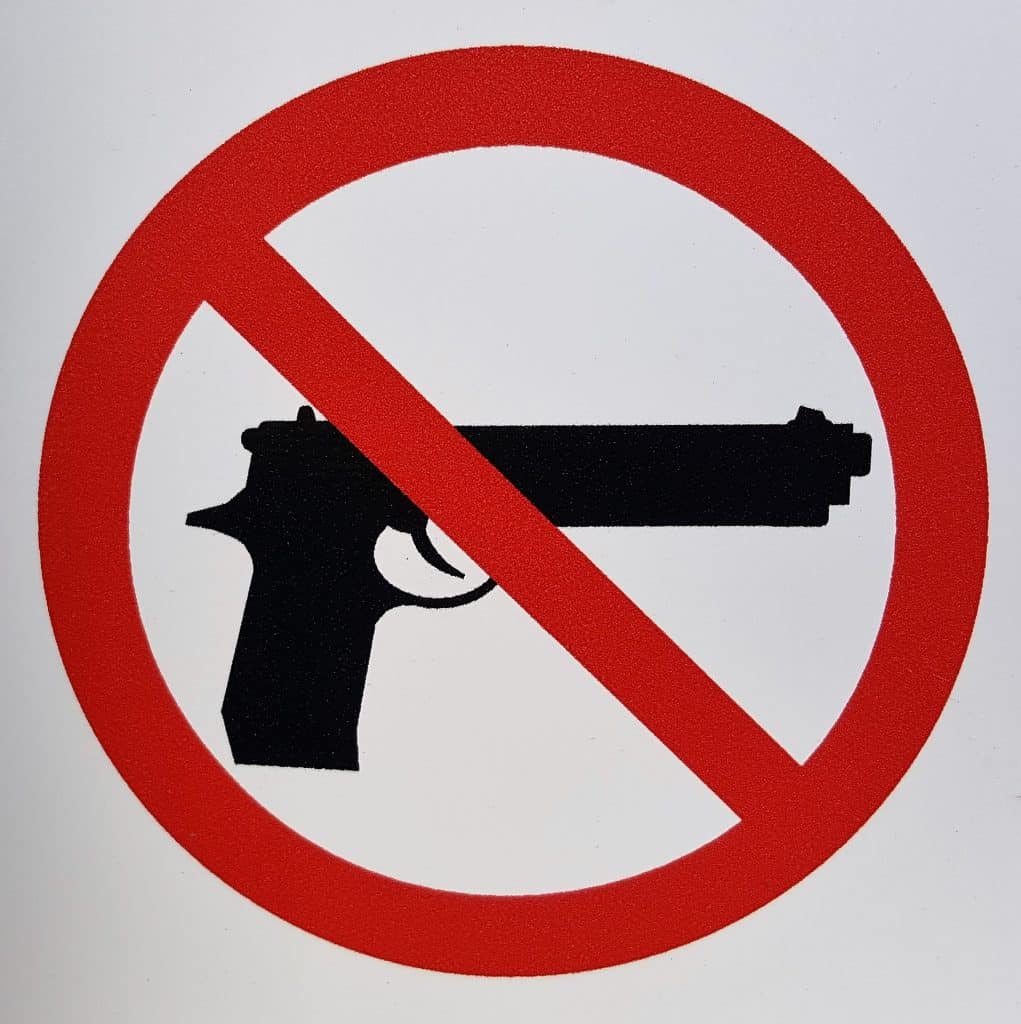 Gun Control Argumentative Essay