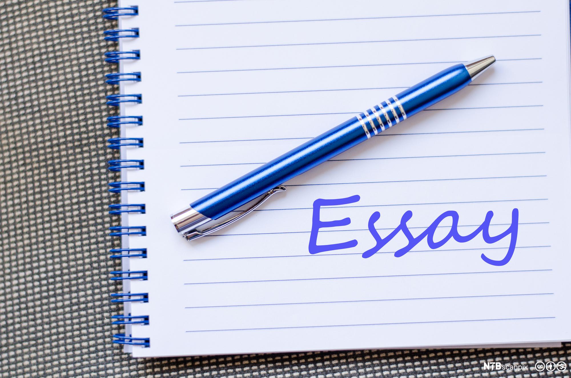 how to make a personal essay longer